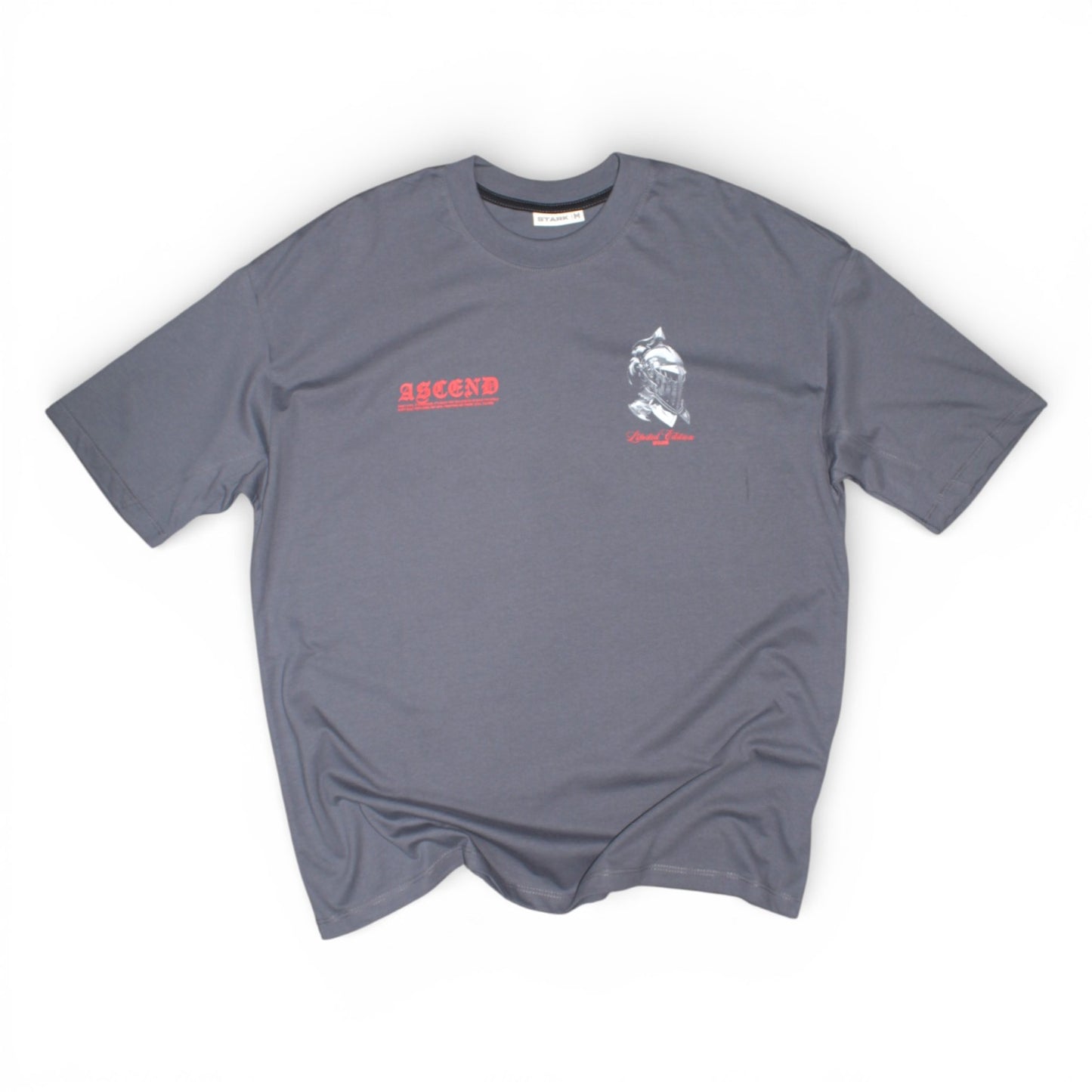 CAMISETA SPNR OVERSIZE ASCEND