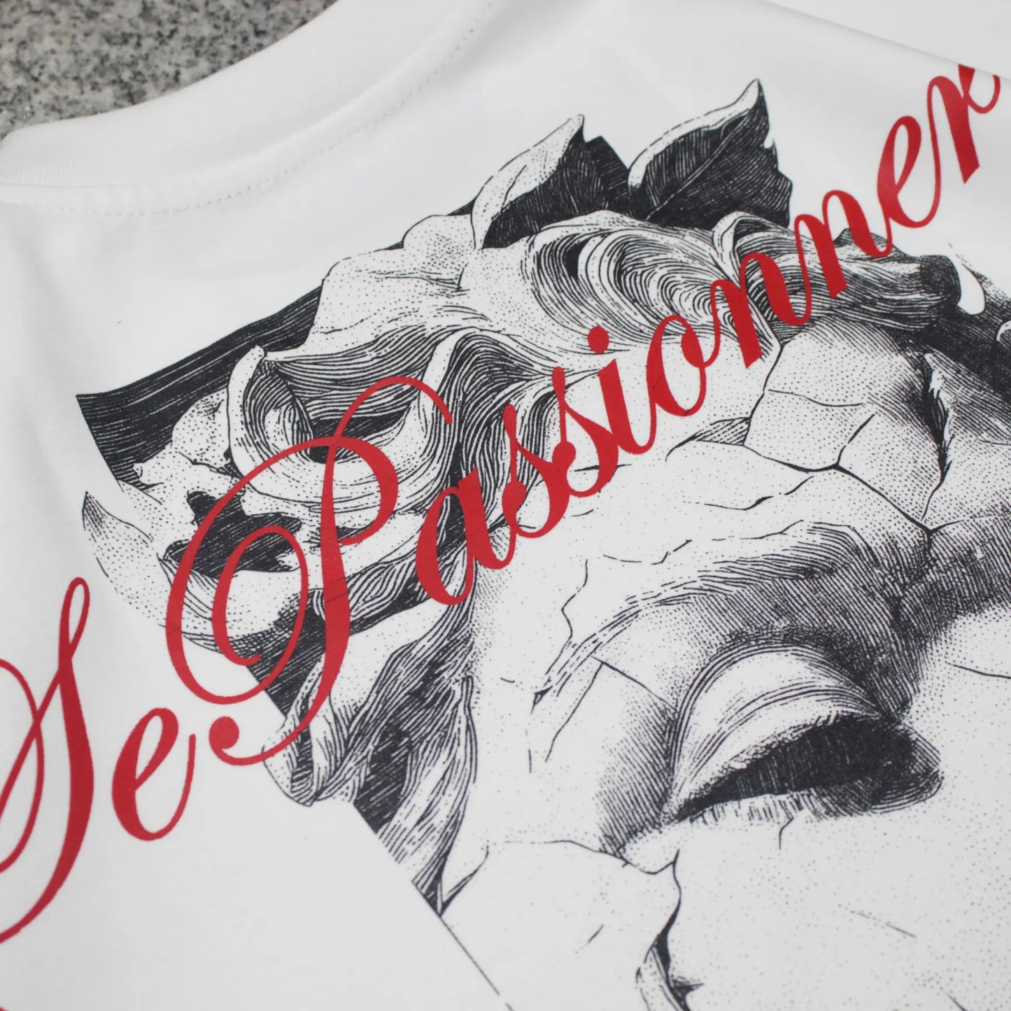 CAMISETA SPNR BOXY CICATRICES
